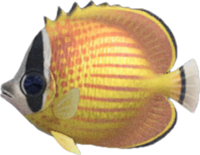 Artwork of Butterflyfish