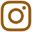Instagram Icon Stylized (Autumn).png