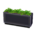 Plant partition's Black variant