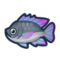 Tilapia NH Icon.png