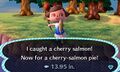 Caught Cherry Salmon NL.jpg