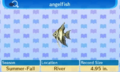 NL Encyclopedia Angelfish.png
