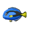 Surgeonfish NL Model.png