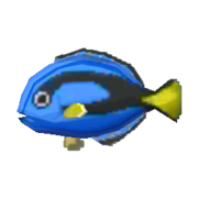 Surgeonfish - Animal Crossing Wiki - Nookipedia