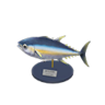 tuna model