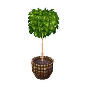 Weeping Fig NL Model.png