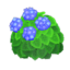 Blue-Hydrangea Bush