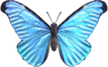 Emperor Butterfly NH.png