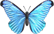 Emperor Butterfly - Animal Crossing Wiki - Nookipedia