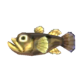 Freshwater Goby NL Model.png