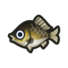 Crucian Carp NH Icon.png