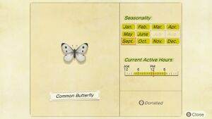 NH Critterpedia Common Butterfly Northern Hemisphere.jpg