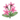 Pink Jasmine PC Icon.png