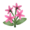 Pink Jasmine PC Icon.png