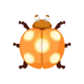 Orange Dandybug PC Icon.png