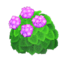 Pink-Hydrangea Bush