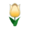 Yellow Spring Tulip PC Icon.png