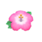Hibiscus Hairpin (Pink) NH Icon.png