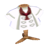 Chef's outfit