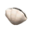 Shell Lamp's White variant