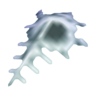 venus comb