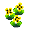 Yellow Pansy PG Upscaled.png