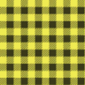Checkered 2 - Fabric 18 NH Pattern.png