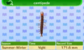 NL Encyclopedia Centipede.png