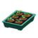 Potted starter plants's Green variant