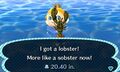 Caught Lobster NL.jpg
