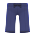 Kung-Fu Pants (Navy Blue) NH Icon.png
