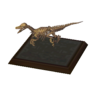 raptor model