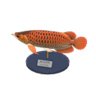 arowana model