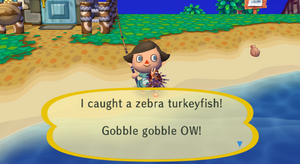 Caught Zebra Turkeyfish CF.png