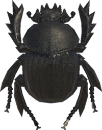 Artwork of Dung Beetle