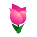 Pink Tulips PC Icon.png