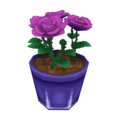 Purple Roses CF Model.png