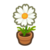 White-Cosmos Plant NH Inv Icon.png