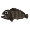 Bering Wolffish PC Icon.png
