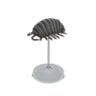 pill bug model