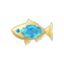 aquamarine jewelfish