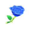 blue roses