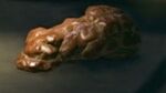 NH Coprolite Museum.jpg