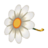 Petal Parasol NL Model.png