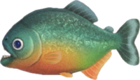 Piranha NH.png