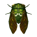 Robust Cicada NL Model.png
