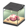 Acorn Barnacle NH Furniture Icon.png