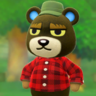 Grizzly's Photo NH Texture.png