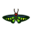 R. Brooke's Birdwing PC Icon.png