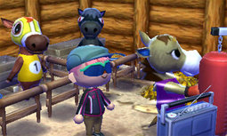 Example of Winnie's Happy Home Designer house